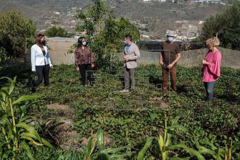 Este viernes se presentó el proyecto/EFE.